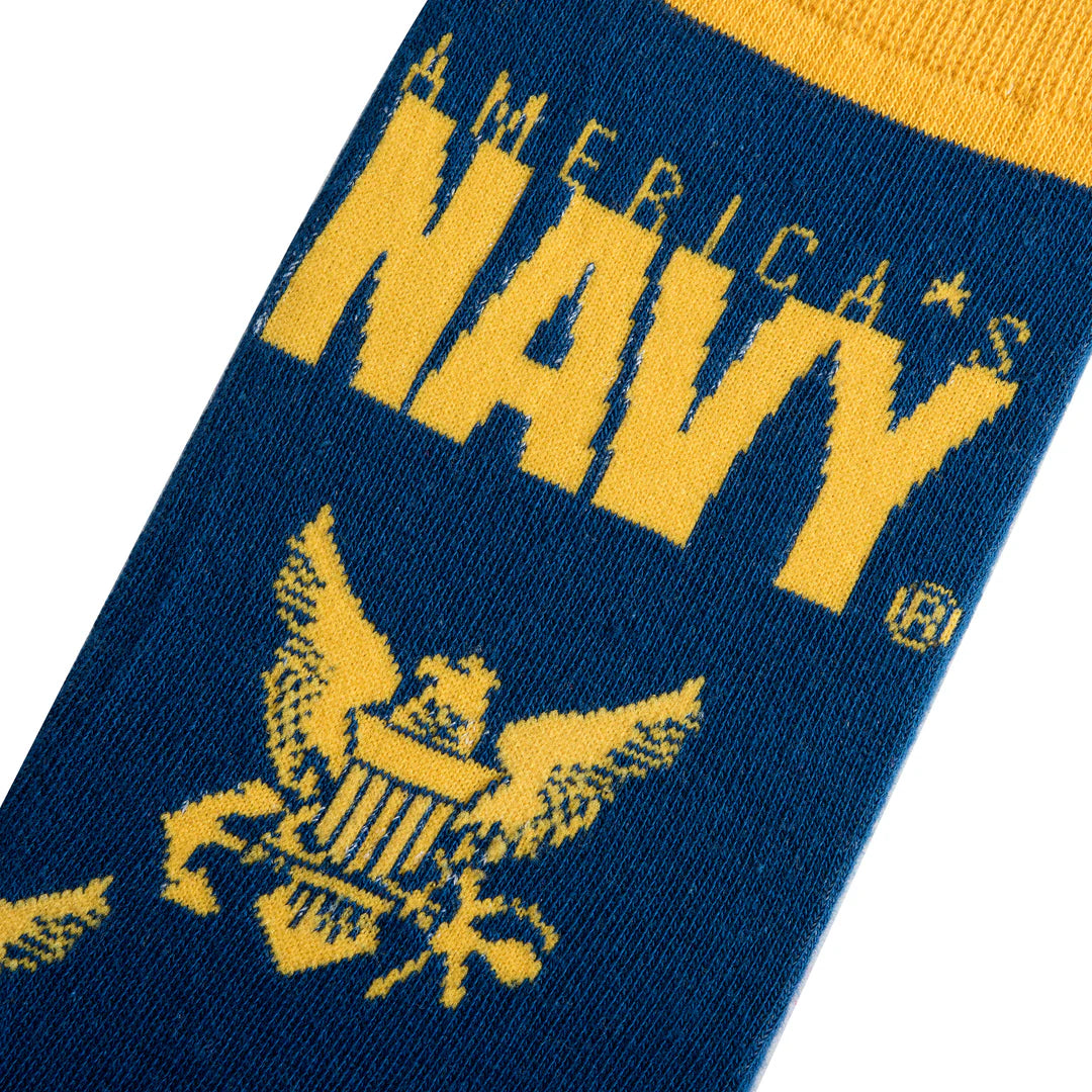 America’s Navy