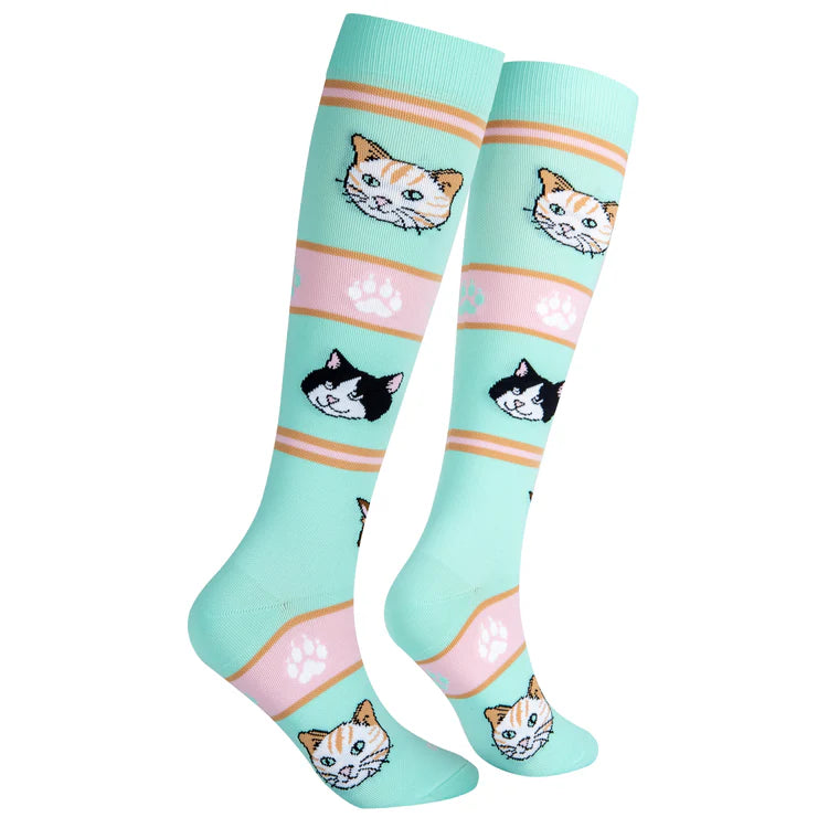 Cats Compression